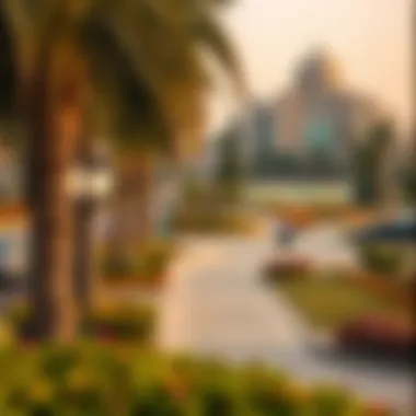 Magnificent Exploring the Visuals of Satwa Park: A Photographic Journey Magnificent Exploring the Visuals of Satwa Park: A Photographic Journey