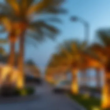 Magnificent The Jabel Ali Palm: A Comprehensive Exploration Magnificent The Jabel Ali Palm: A Comprehensive Exploration