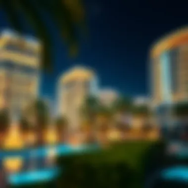 Adagio Premium: A Palm Oasis Summary