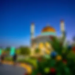 Exploring Activities at Mushrif Park: A Comprehensive Overview Introduction