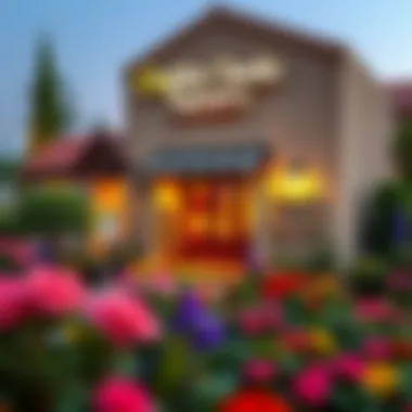 Exploring Chubby Cheeks Nursery and Discovery Gardens: A Comprehensive Review Summary