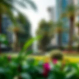 Lush green park in the heart of Dubai showcasing native flora