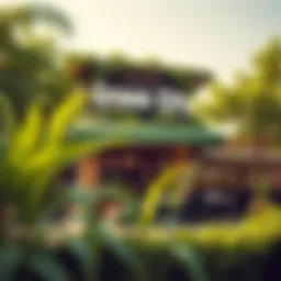 An outdoor view of Green City Restaurant highlighting its lush greenery and welcoming facade
