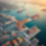 Aerial view of Jebel Ali port showcasing its extensive shipping facilities