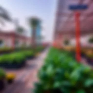 Notable Exploring Jebel Ali Village Nursery in Motor City: A Comprehensive Overview Notable Exploring Jebel Ali Village Nursery in Motor City: A Comprehensive Overview