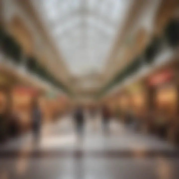Interior shot of a vibrant shopping area filled with diverse retail offerings