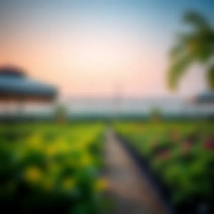 Notable Exploring Nurseries in Al Quoz: A Comprehensive Overview