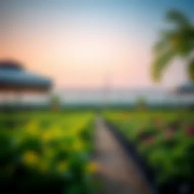 Notable Exploring Nurseries in Al Quoz: A Comprehensive Overview Notable Exploring Nurseries in Al Quoz: A Comprehensive Overview