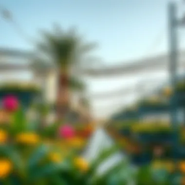 Notable Exploring Nurseries in Dubai Silicon Oasis Notable Exploring Nurseries in Dubai Silicon Oasis