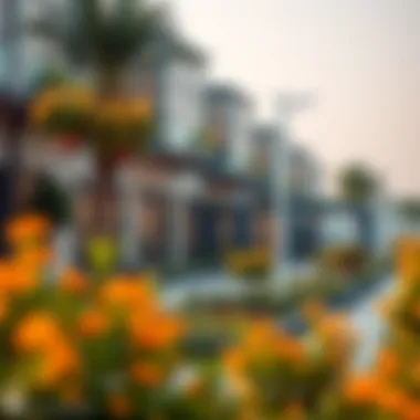 Exploring Nurseries in Dubai Silicon Oasis Summary Exploring Nurseries in Dubai Silicon Oasis Summary