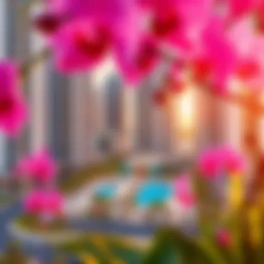 Notable Exploring Orchid Residence Al Jaddaf: A Comprehensive Overview