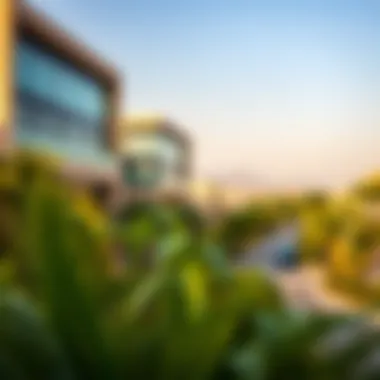 Exploring the Al Barari Area: A Comprehensive Insight Summary Exploring the Al Barari Area: A Comprehensive Insight Summary