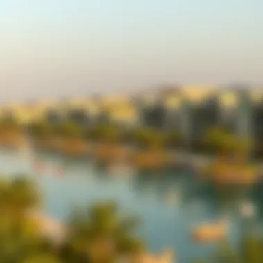 Exploring the Clusters of Damac Lagoons Summary Exploring the Clusters of Damac Lagoons Summary