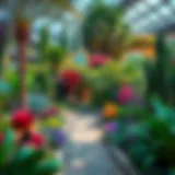 A lush view of the Discovery Garden showcasing its diverse plant life