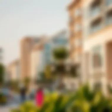 Lifestyle in the Meydan Neighborhood Vibrant lifestyle options in Meydan area