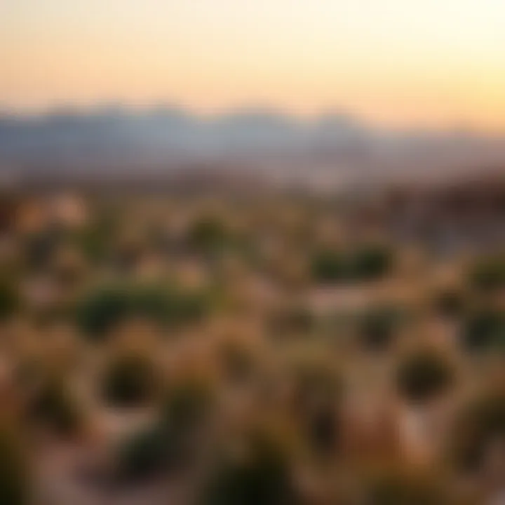 Exploring the Sahara Meadows: Secrets of the Desert Ecosystem Summary