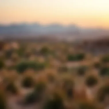 Exploring the Sahara Meadows: Secrets of the Desert Ecosystem Summary Exploring the Sahara Meadows: Secrets of the Desert Ecosystem Summary