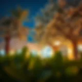 The Allure of Al Toot Al Abyad: Exploring the Symbolism and Impact of White Mulberry in Dubai Introduction