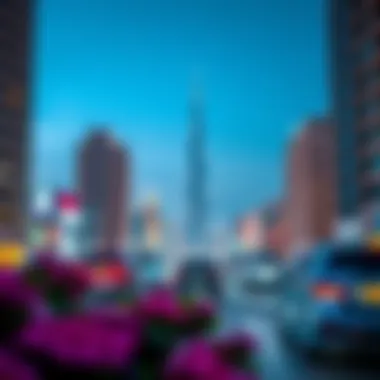 Understanding the Location and Significance of DubaiLand Summary Understanding the Location and Significance of DubaiLand Summary